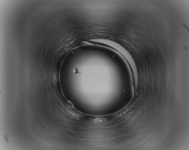 X0000097470566200802291314
