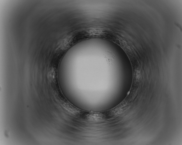 X0000097470567200802291314