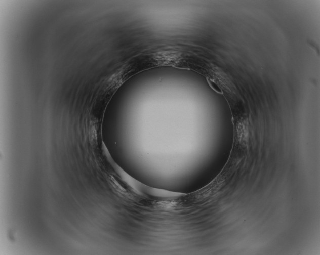 X0000097470570200802291314