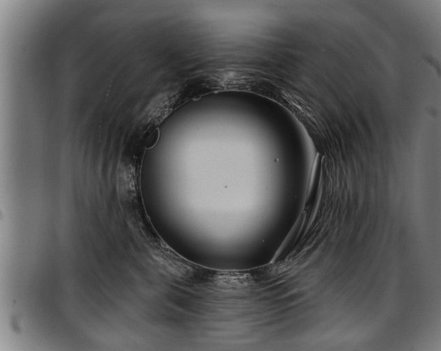 X0000097470571200802291314
