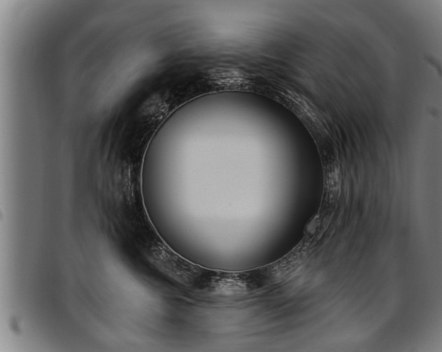 X0000097470572200802291314