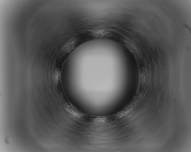 X0000097470574200802291314