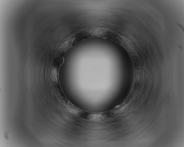 X0000097470575200802291314
