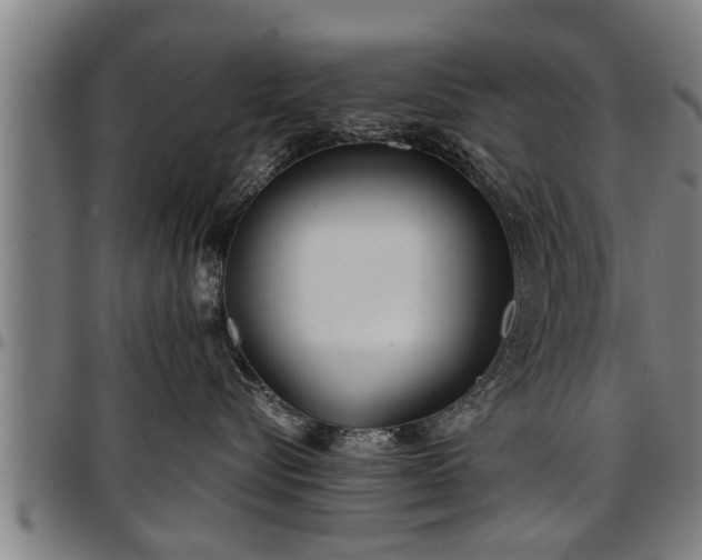 X0000097470576200802291314