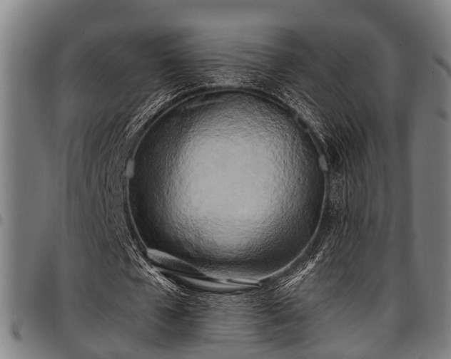 X0000097470577200802291313