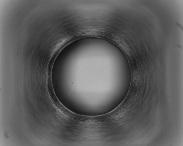 X0000097470578200802291313