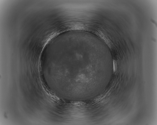 X0000097470579200802291313