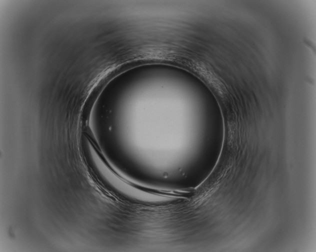 X0000097470580200802291313