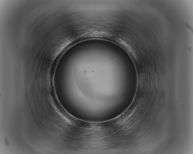 X0000097470581200802291313