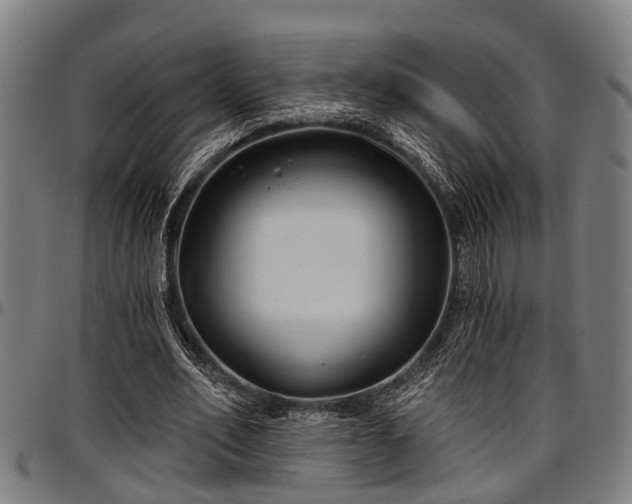 X0000097470582200802291313