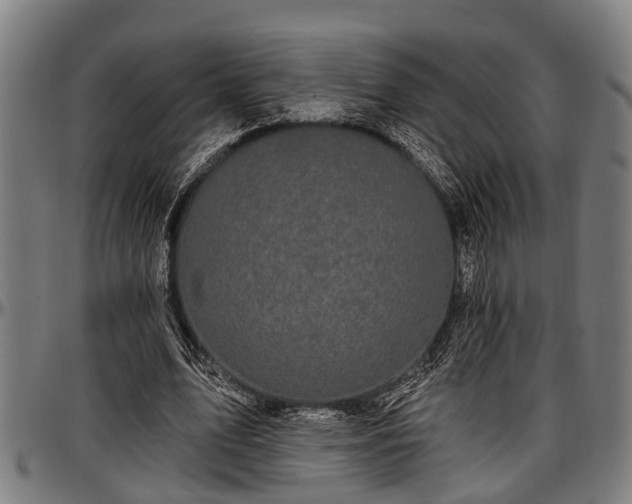 X0000097470583200802291313