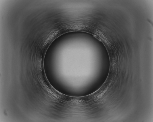 X0000097470585200802291313