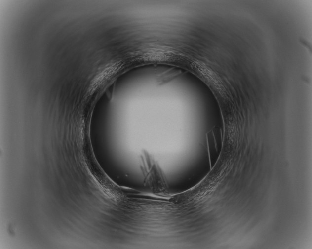 X0000097470586200802291313