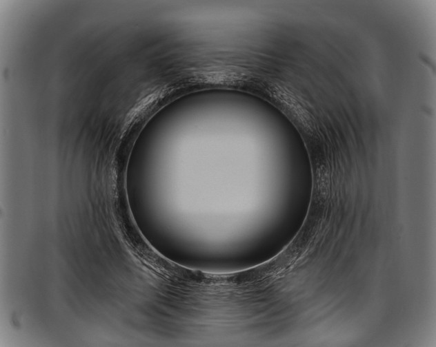 X0000097470587200802291313