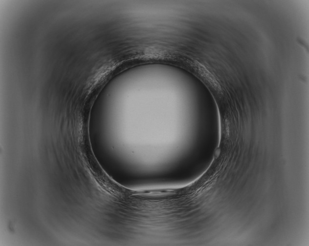 X0000097470588200802291313