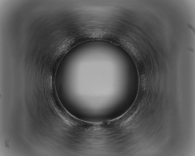 X0000097470589200802291313