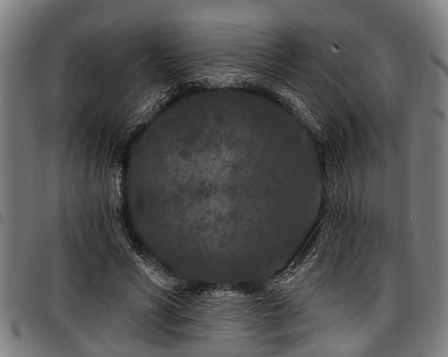 X0000097470590200802291313