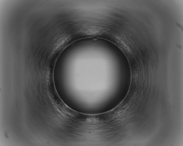 X0000097470591200802291313