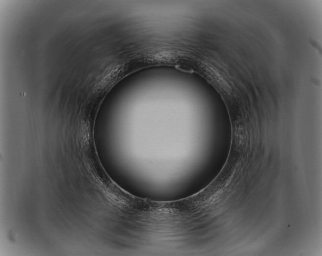 X0000097470593200802291313