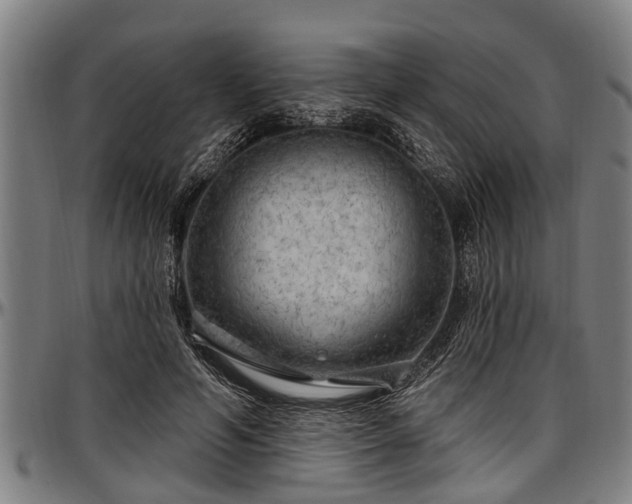 X0000097470594200802291313