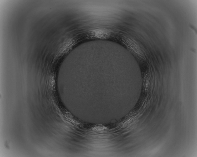 X0000097470595200802291313