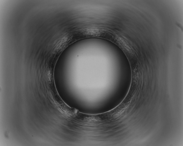 X0000097470597200802291313