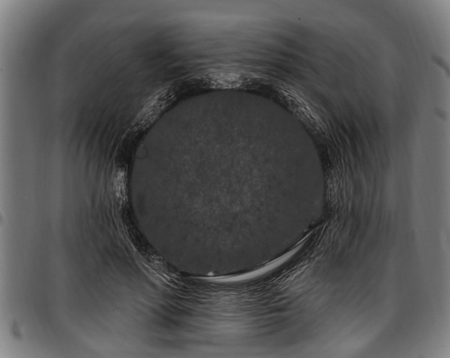 X0000097470598200802291313