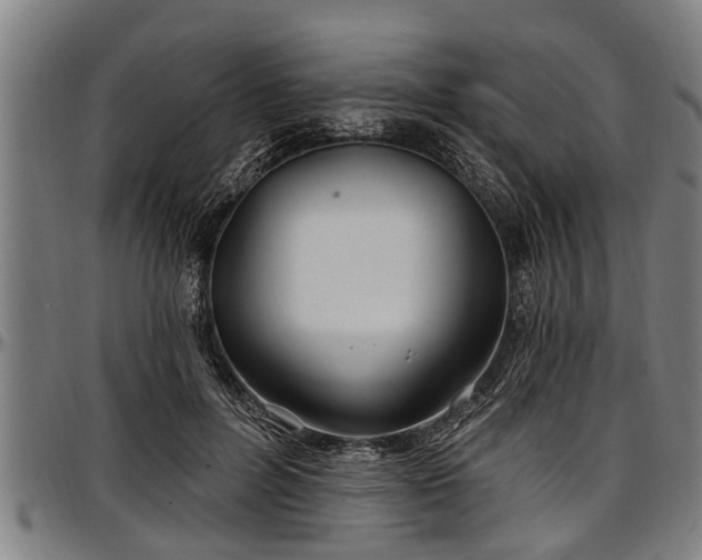 X0000097470600200802291313