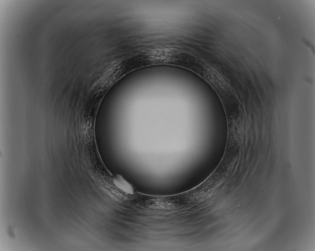 X0000097470601200802291313