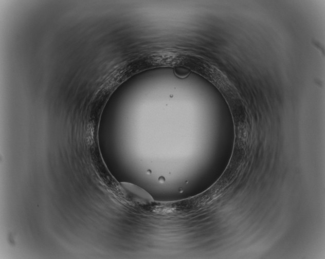 X0000097470602200802291313