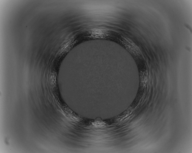 X0000097470603200802291313