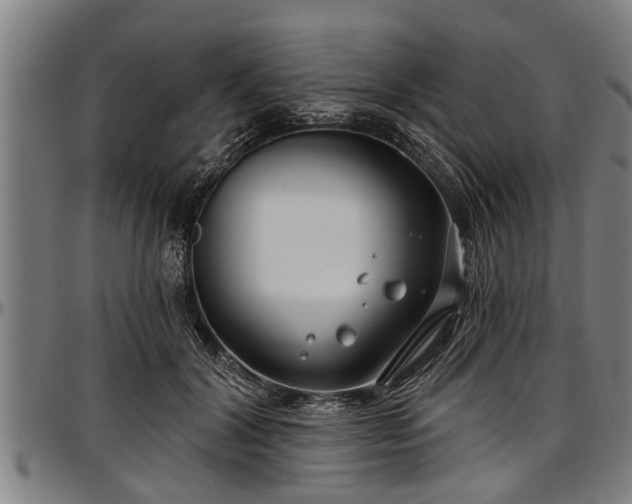 X0000097470604200802291313