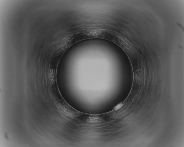 X0000097470605200802291313