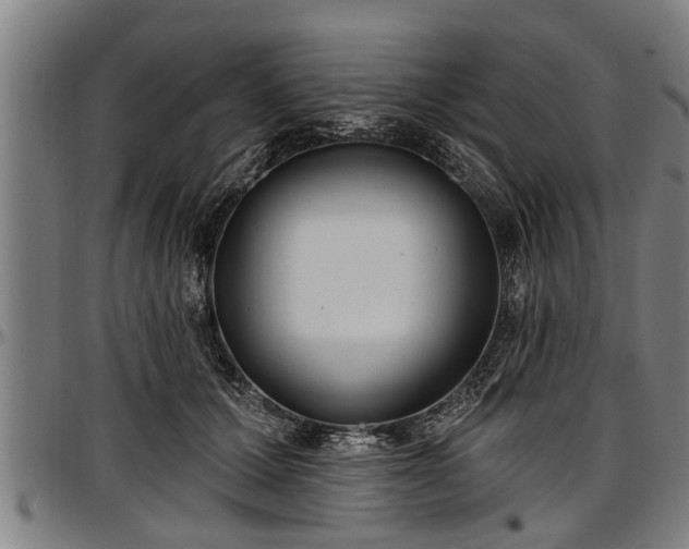X0000097470607200802291313