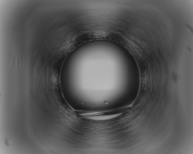 X0000097470608200802291313
