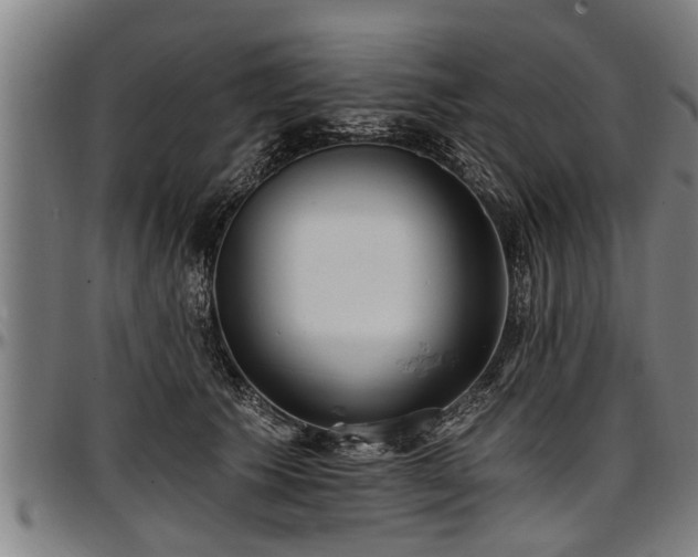 X0000097470609200802291313