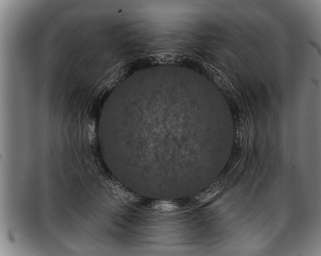 X0000097470610200802291312