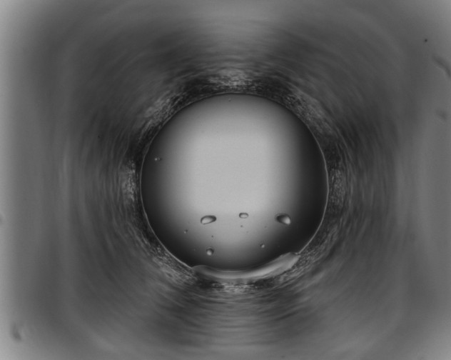 X0000097470612200802291312