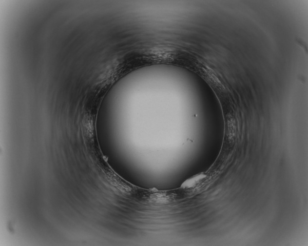 X0000097470613200802291312