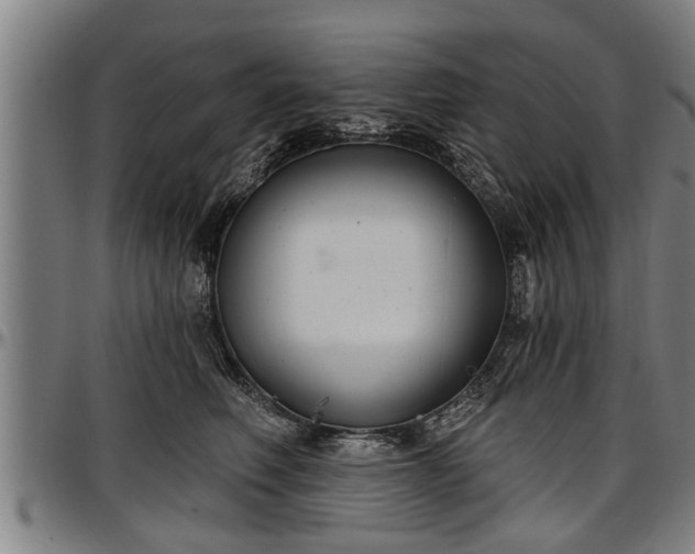 X0000097470614200802291312