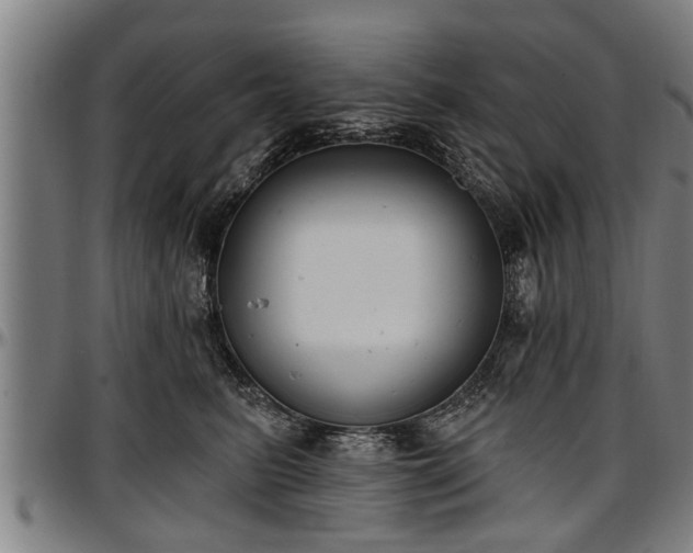 X0000097470615200802291312