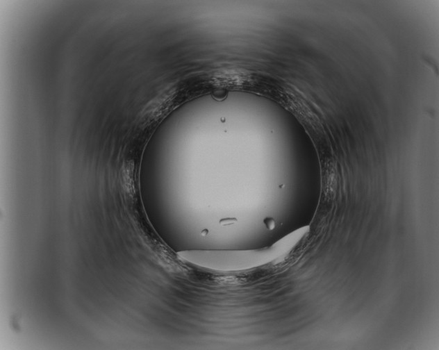 X0000097470616200802291312