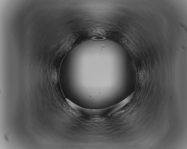 X0000097470617200802291312