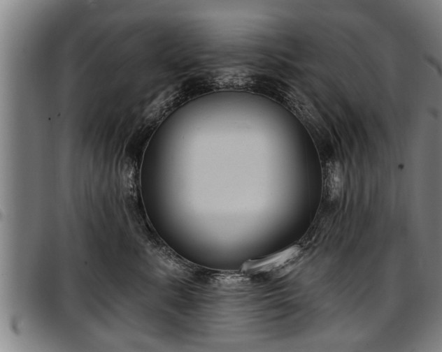 X0000097470619200802291312