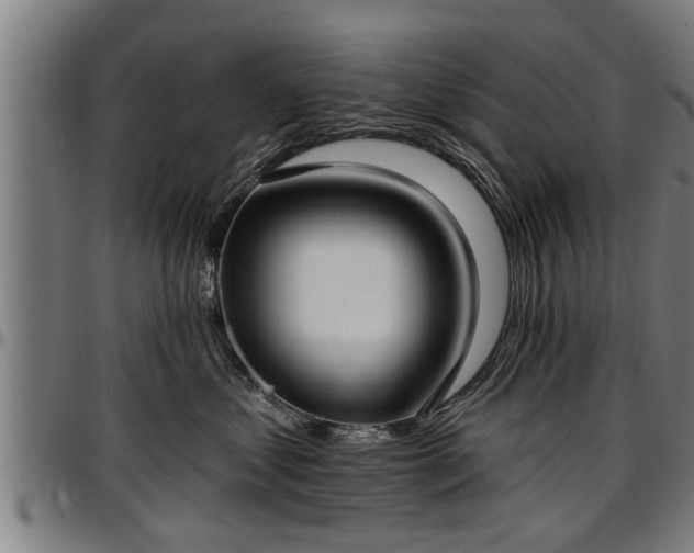 X0000097470621200802291312