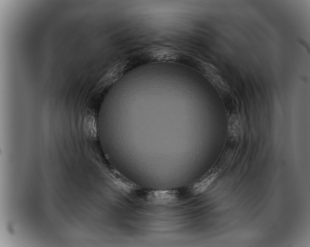 X0000097470622200802291312