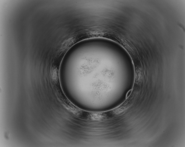 X0000097470623200802291312