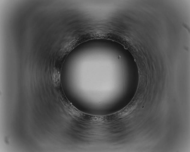 X0000097470624200802291312