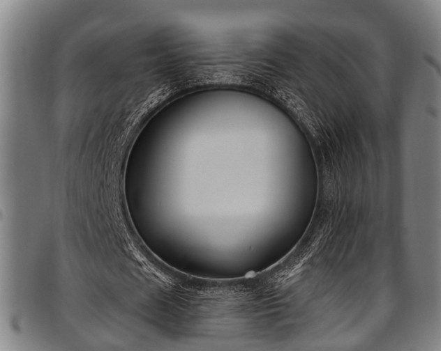 X0000097470625200802291311