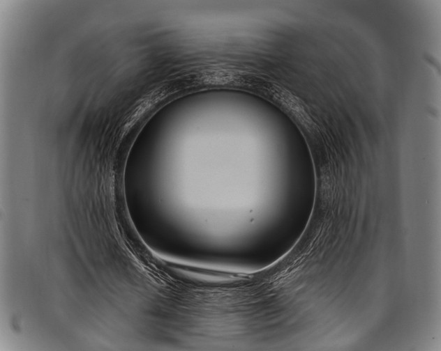 X0000097470626200802291311